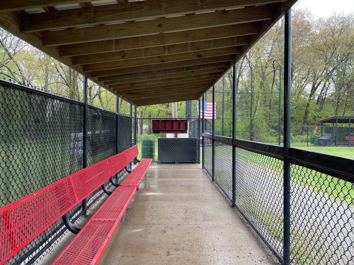 The Dugout: A Reading Baseball Podcast